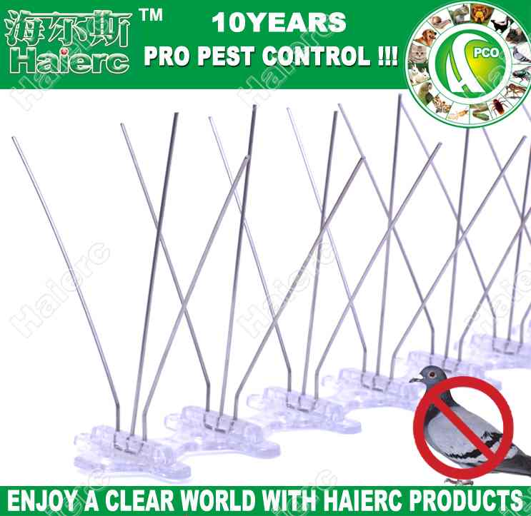 Bird Spikes Lowes Pictures