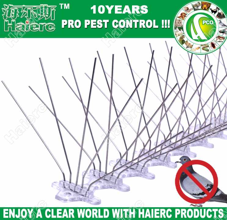 Pest control bird spikes bird spikes lowes new product bird control and