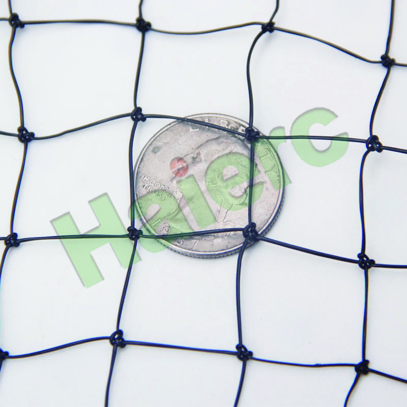 >Haierc Bird Proof Netting HC130350