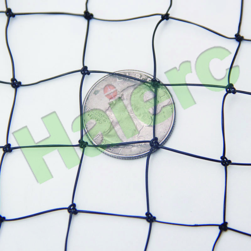 >Haierc Bird Proof Netting HC1303N19