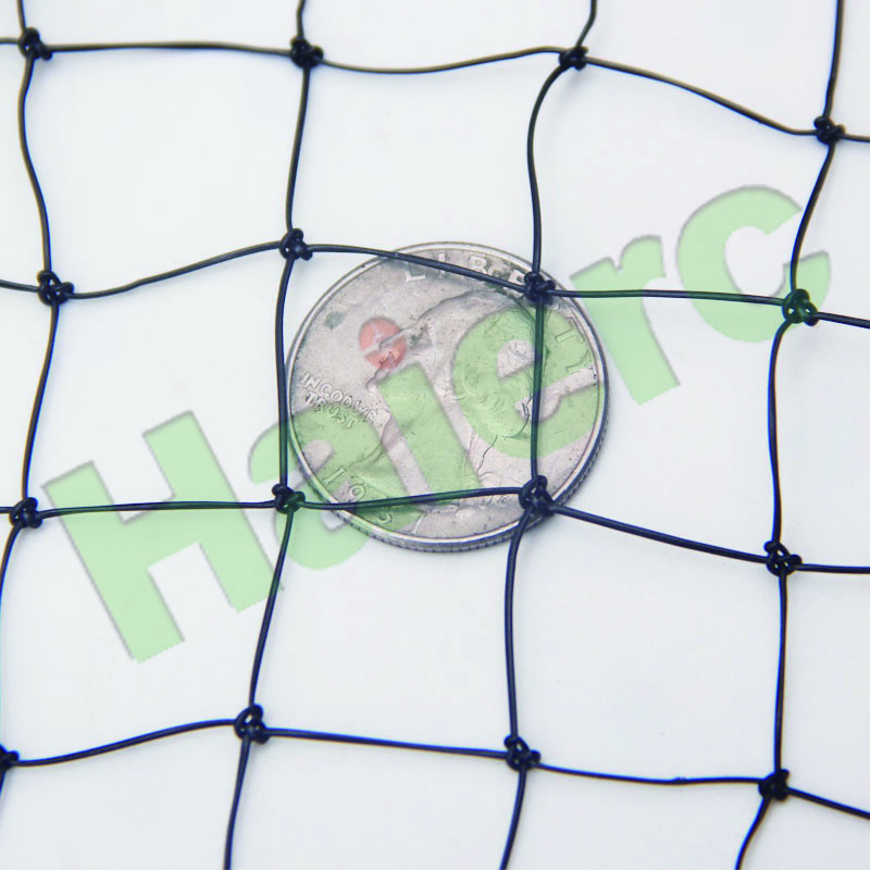 >Haierc Bird Proof Netting HC1303N50