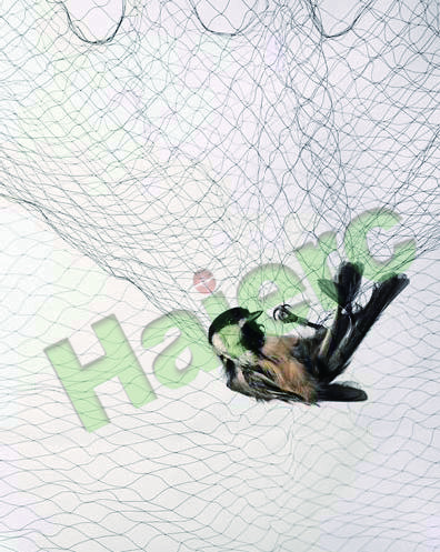 Haierc Mist Bird Net HC1401-P
