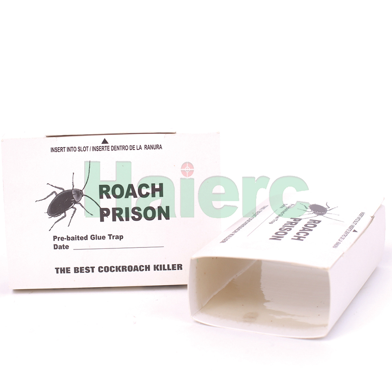 >Cockroach Glue Trap HC4110