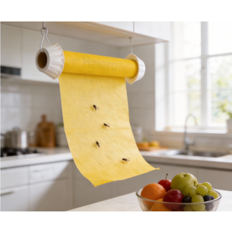 >Haierc Plastic Fly Trap Sticky Tape Disposable Insect Trap Fly Professional Sticky Fly Trap Commercial Flies Traps